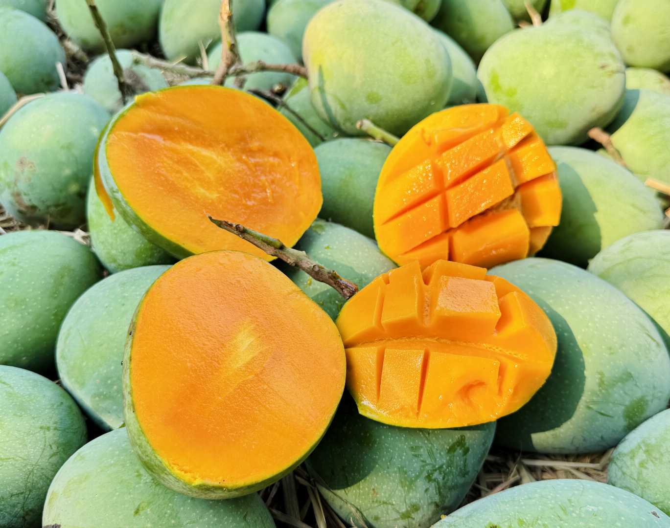 সুস্বাদু,,ফ্রেশ,আম